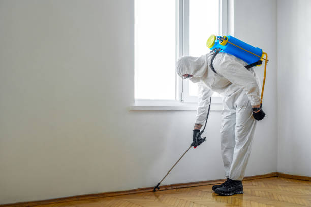 Best Bed Bug Extermination  in Leith Hatfield, PA
