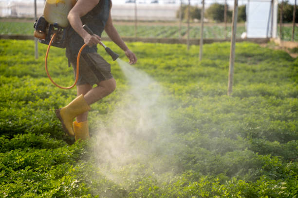 Best Ant Control Services  in Leith Hatfield, PA
